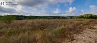Landgut in Requena