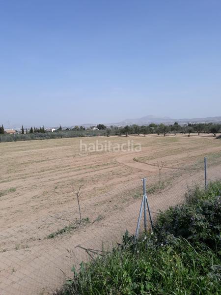 Foto 5bf9c372-ec5d-4e36-aaa4-ac5461101aa7. Casa a Pedanías Este Aspe