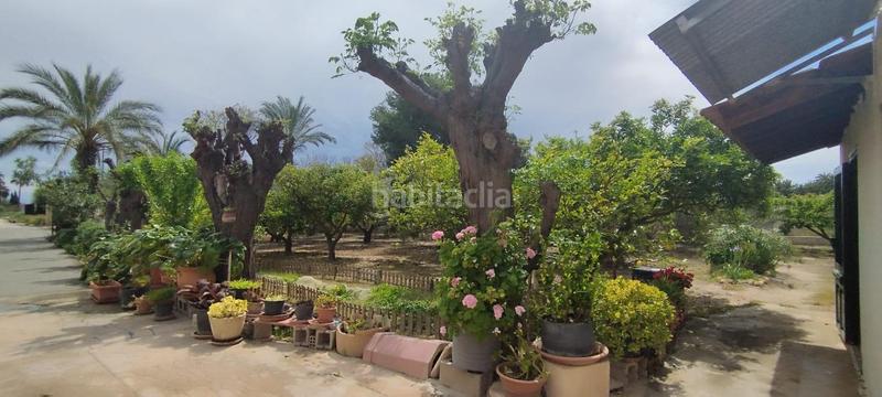 Foto 046db779-90e8-4b34-b30d-3a990bd92a27. Casa tu campo para vivir en tranquilidad en La Algoda - Matola - Llano de San José Elche / Elx