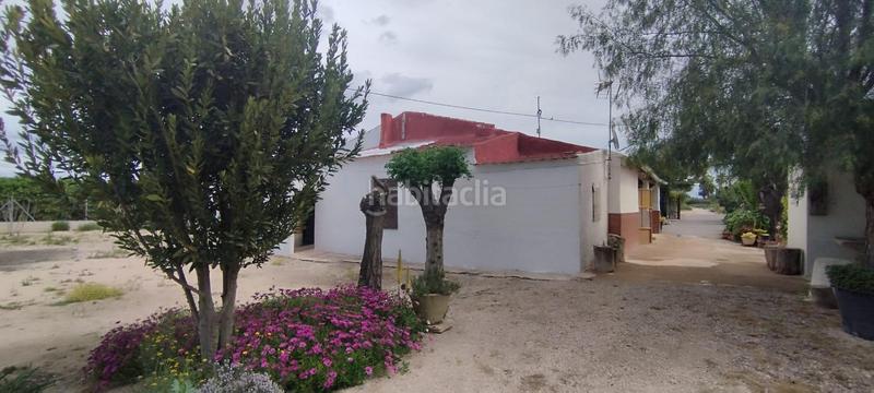 Foto 1aff07c5-51af-4642-93fb-0ea8528b63d5. Casa tu campo para vivir en tranquilidad en La Algoda - Matola - Llano de San José Elche / Elx