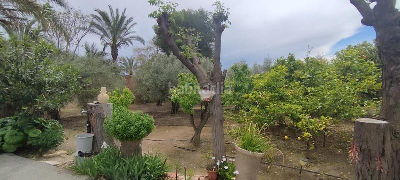 Foto 5ef11f7d-45e0-48d9-a48b-4c1beb19ce73. Casa tu campo para vivir en tranquilidad en La Algoda - Matola - Llano de San José Elche / Elx