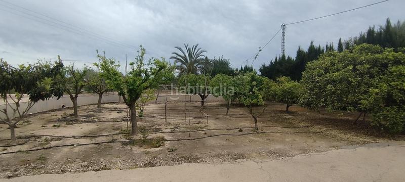 Foto 647a98f9-f7bc-4811-a01a-6434d3fc8e58. Casa tu campo para vivir en tranquilidad en La Algoda - Matola - Llano de San José Elche / Elx