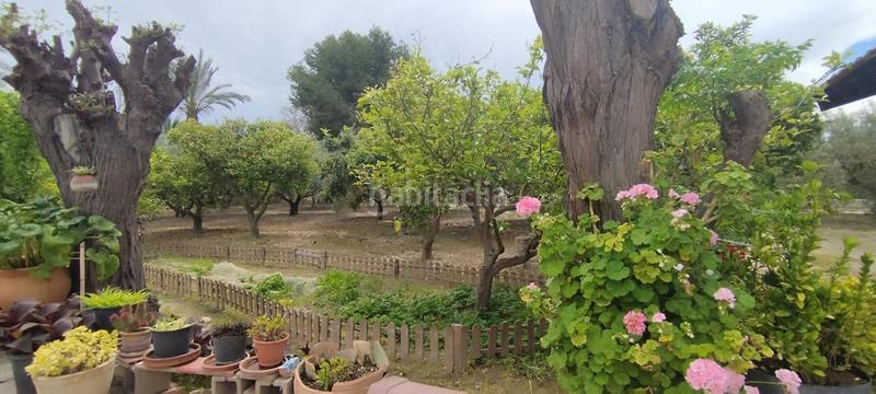 Foto 681cc31d-9360-49a5-bd94-f477090a452d. Casa tu campo para vivir en tranquilidad en La Algoda - Matola - Llano de San José Elche / Elx