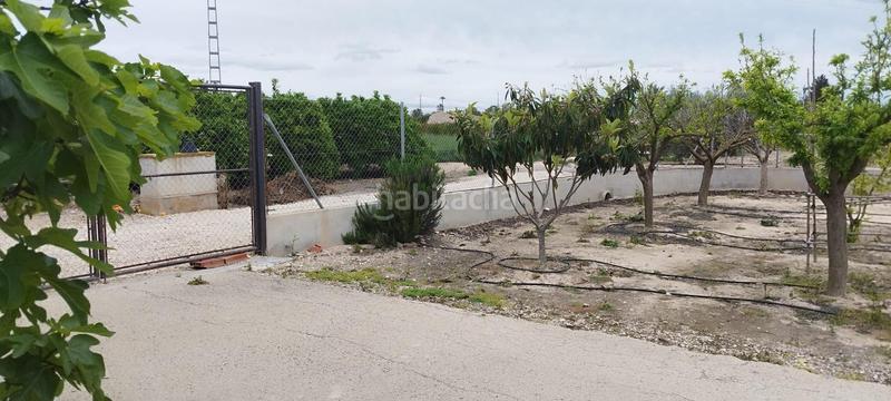 Foto 6b493f48-f64e-494b-99f3-7aab46afce0c. Casa tu campo para vivir en tranquilidad en La Algoda - Matola - Llano de San José Elche / Elx