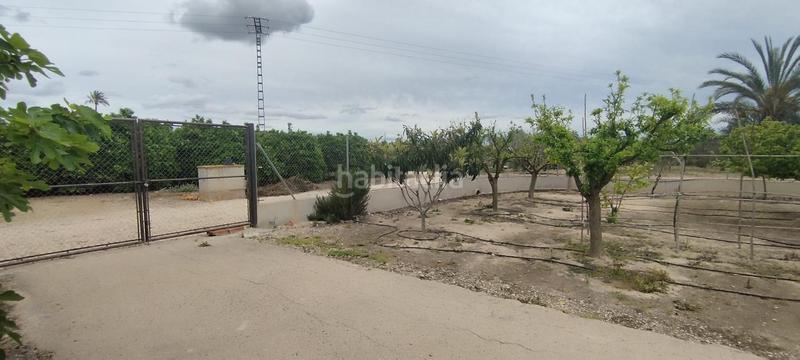 Foto 8090566a-3a13-49a9-88df-f18b94eb5eea. Casa tu campo para vivir en tranquilidad en La Algoda - Matola - Llano de San José Elche / Elx