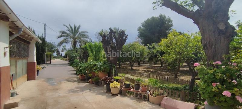 Foto 80a3a256-c861-453f-937d-f7176fb72326. Casa tu campo para vivir en tranquilidad en La Algoda - Matola - Llano de San José Elche / Elx