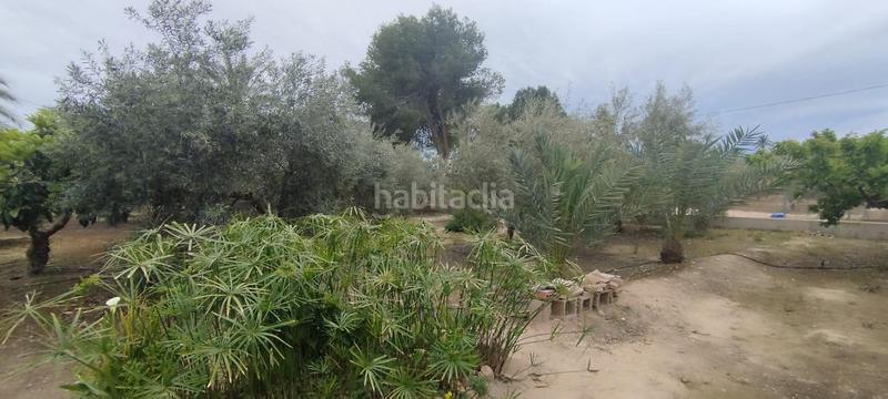 Foto 83c117a7-ea48-4315-bcdf-070aaad67cba. Casa tu campo para vivir en tranquilidad en La Algoda - Matola - Llano de San José Elche / Elx