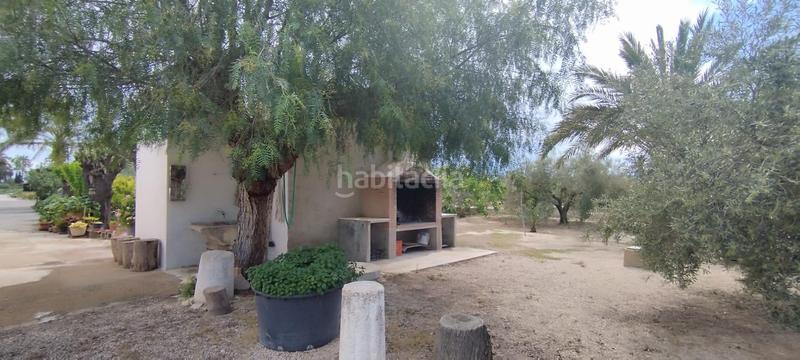 Foto 8bd036fd-5deb-41ea-aa90-6232c53d43c9. Casa tu campo para vivir en tranquilidad en La Algoda - Matola - Llano de San José Elche / Elx