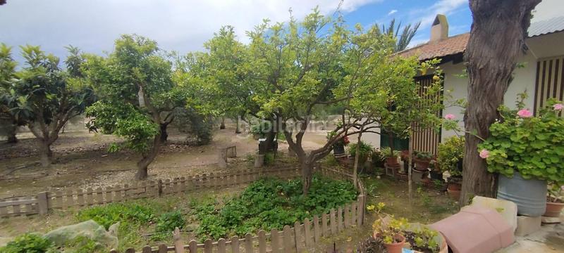Foto a6721ce8-9d73-4c8d-b715-4ee77b23713d. Casa tu campo para vivir en tranquilidad en La Algoda - Matola - Llano de San José Elche / Elx