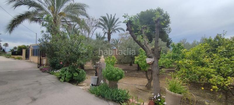 Foto accf53ed-383a-42b9-ab8f-aa734158b803. Casa tu campo para vivir en tranquilidad en La Algoda - Matola - Llano de San José Elche / Elx