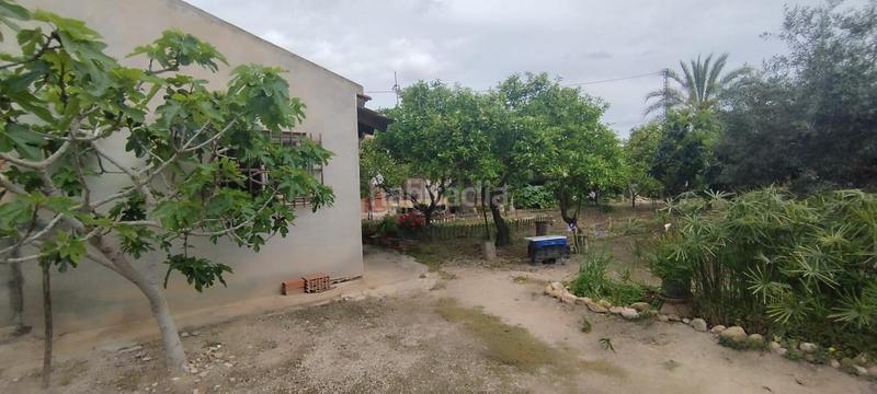 Foto b07d5c7b-554b-4a80-954c-283b4a512aba. Casa tu campo para vivir en tranquilidad en La Algoda - Matola - Llano de San José Elche / Elx