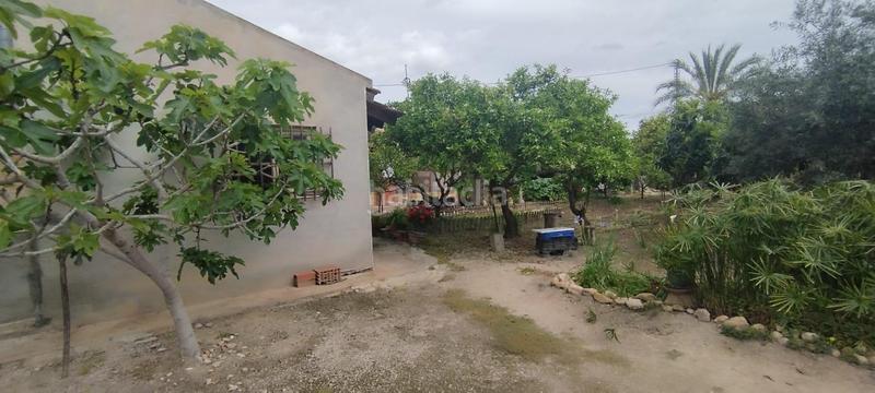 Foto dc21ae30-73e9-41c8-bf38-afe21fb30c53. Casa tu campo para vivir en tranquilidad en La Algoda - Matola - Llano de San José Elche / Elx