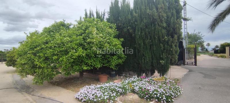 Foto eb1499b3-e966-4c65-ace5-88b81f455fe4. Casa tu campo para vivir en tranquilidad en La Algoda - Matola - Llano de San José Elche / Elx
