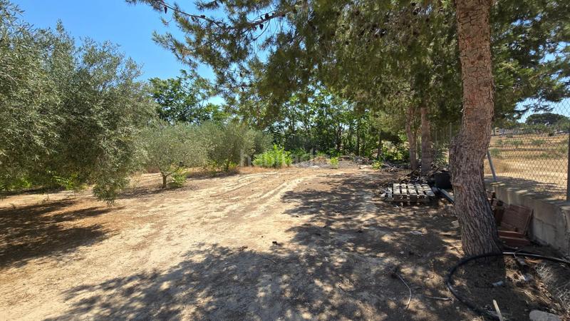 Foto 06a06726-699b-4c1e-a695-bb9114d3b3e6. Xalet a Pedanías Oeste Aspe