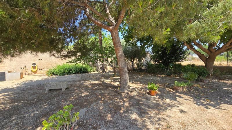 Foto 6538174e-d2f8-4aa2-b0f2-0e50a678a96d. Xalet a Pedanías Oeste Aspe