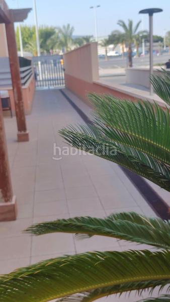 Foto 876b135d-e069-40d6-8164-0c6aa5c49896. Àtic amb aparcament piscina a El Toscar Elche / Elx