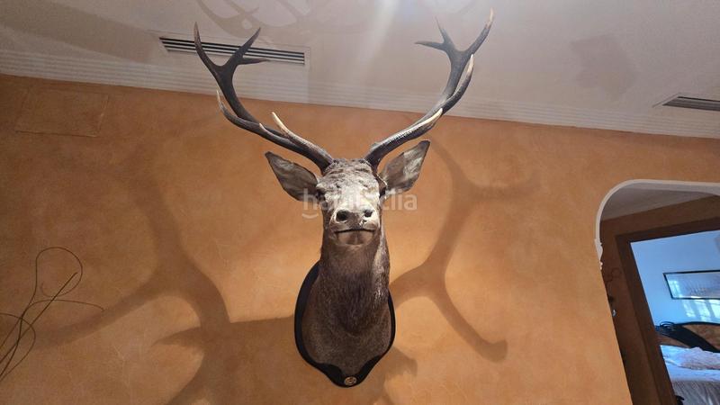 Foto 2ebfd7c0-950f-4e0e-9fa4-fe1bb710a08a. Chalet con riscaldamento parcheggio piscina in La Algoda - Matola - Llano de San José Elche / Elx