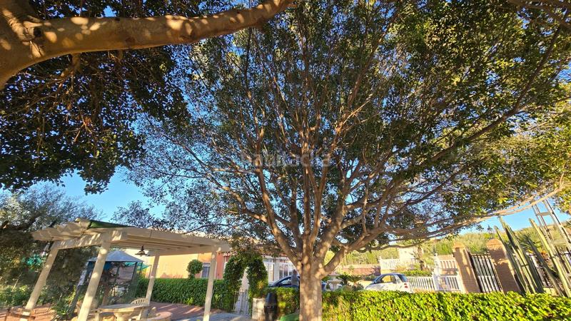 Foto a2471d77-16aa-4320-8826-0a07dddd2e3d. Chalet con riscaldamento parcheggio piscina in La Algoda - Matola - Llano de San José Elche / Elx