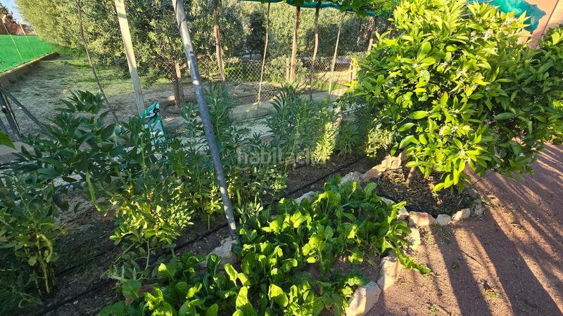 Foto 3e9bf162-f36b-4597-96b1-9f5fdf772d30. Chalet con riscaldamento parcheggio piscina in Perleta - Maitino Elche / Elx