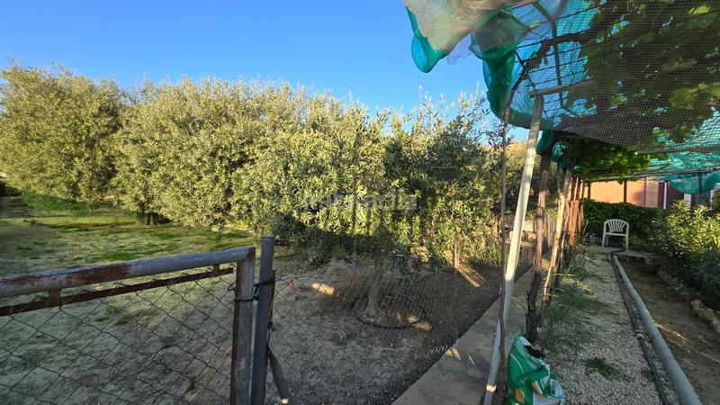 Foto 6cff4e87-dbe7-4147-acfe-caa4df2668fe. Chalet con riscaldamento parcheggio piscina in Perleta - Maitino Elche / Elx