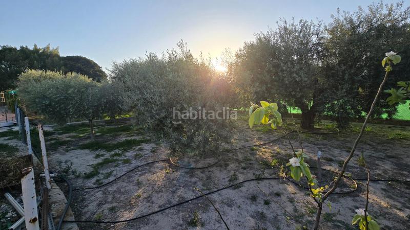 Foto f7256175-7b8e-4109-ac57-f505936d8ddd. Xalet amb calefacció aparcament piscina a Jubalcoi Elche / Elx