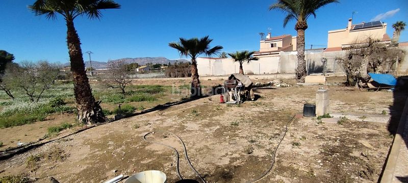 Foto fdaad8e2-fc7a-4dd2-8a45-f8722c4e24dc. Masia a La Algoda - Matola - Llano de San José Elche / Elx