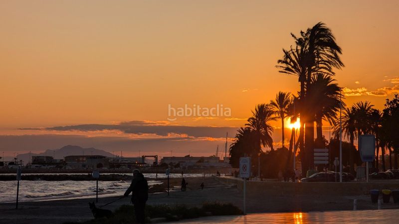 Foto ef8c6964-5f7e-4869-a5b4-cc8807d15d05. Pis a Playa Levante Santa Pola