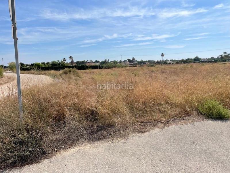 Foto e2ff8d7d-b63d-42ca-89bc-40749c9d38bf. Terreny residencial a Valverde Elche / Elx