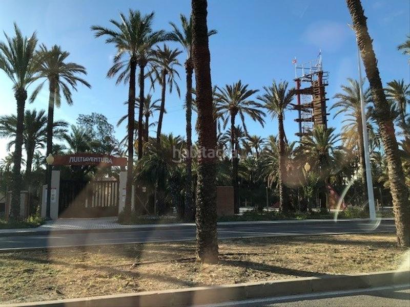 Foto fd399b7b-6378-4aa6-9290-66e3adabe7fa. Piano terra in Centro Elche / Elx