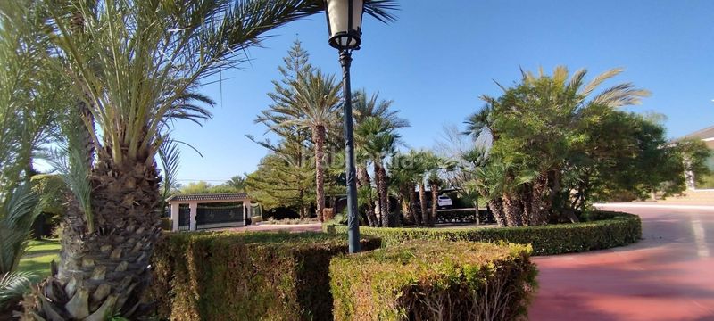 Foto ac8a2710-8833-460c-a57c-031b8b7369c8. Chalet with parking pool in Perleta - Maitino Elche / Elx