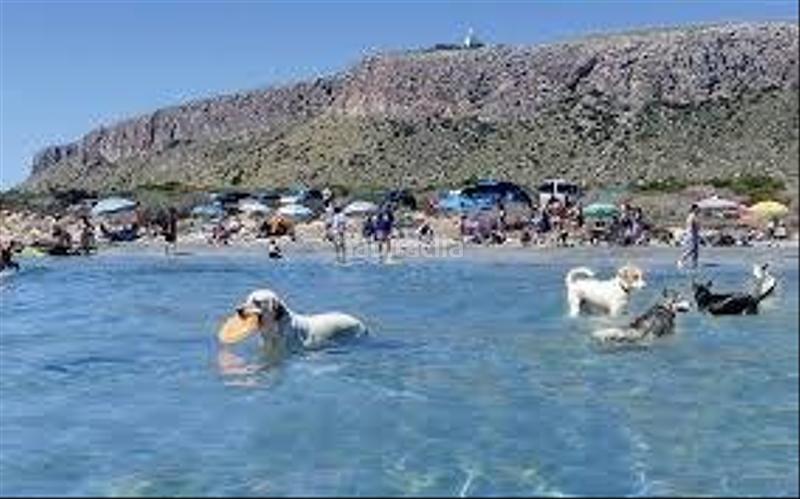 Foto 77d1a040-9bb9-4a28-8092-99a479971f98. Piccolo appartamento con parcheggio piscina in Gran Vista-Olivo de Oro Santa Pola