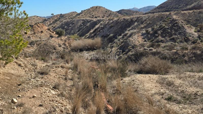 Foto 1cd34f69-c772-475e-a2c7-9cc3466c7873. Chalet with pool in Pedanías Este Aspe