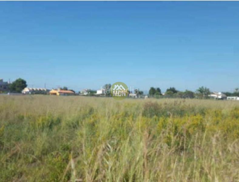Foto 303d676e-ccf7-4ff8-9884-4acc1beef4d0. Terreno residencial solar en la playa para adosados en Almazora / Almassora