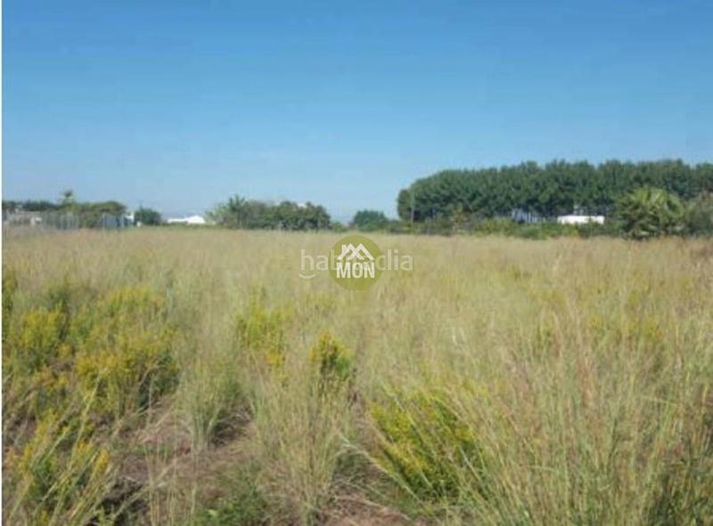 Foto 3c9bd406-32be-46fe-81f7-5a01fce059a4. Terreno residencial solar en la playa para adosados en Almazora / Almassora