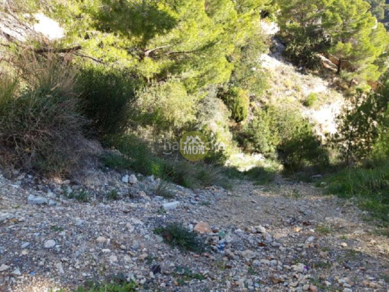 Foto 175a79af-1378-4e36-8c73-4536c4704513. Terrain résidentiel dans Altea hills Altea