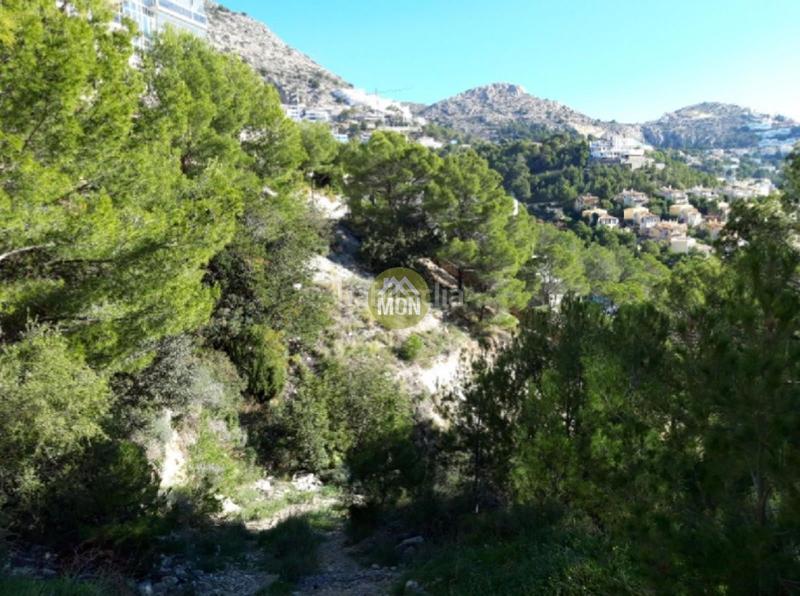 Foto 6b989a8b-669b-4cc7-906d-f64ec48472b4. Terrain résidentiel dans Altea hills Altea