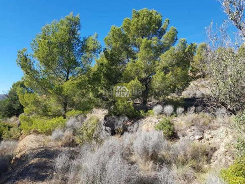 Foto 1b6c2f2b-9b5c-4ec8-8d12-fd6565ec4d17. Wohngrundstück in Finestrat pueblo Finestrat