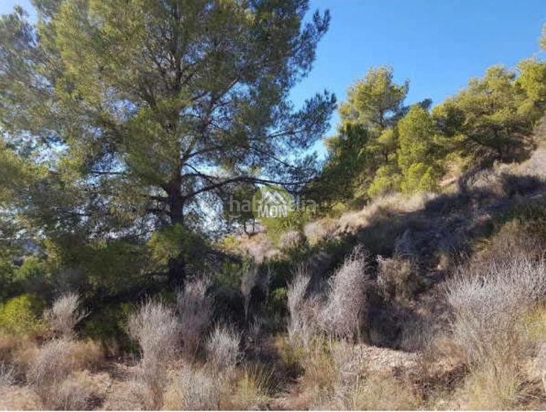 Foto 6396da64-889f-4ead-ad5b-608b7b0df0c8. Wohngrundstück in Finestrat pueblo Finestrat