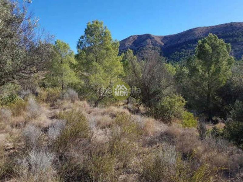 Foto 93959231-45e3-48dc-8063-65fca2b40bd0. Wohngrundstück in Finestrat pueblo Finestrat