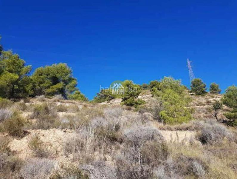 Foto c5f4fb57-f70e-4a06-b059-82f94879bd62. Wohngrundstück in Finestrat pueblo Finestrat