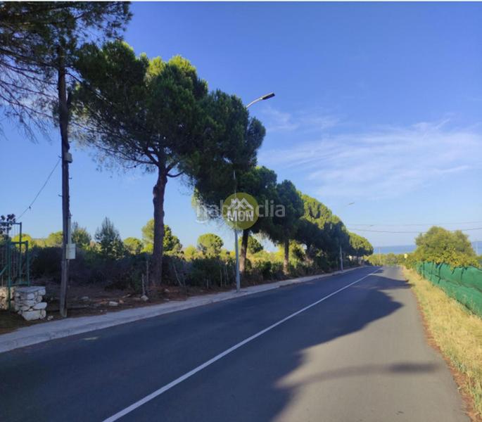Foto b366b20d-5901-4495-b1e9-fbd4dff09c3e. Terreno residencial solar ideal para uso hotelero en peñíscola en Benicarló