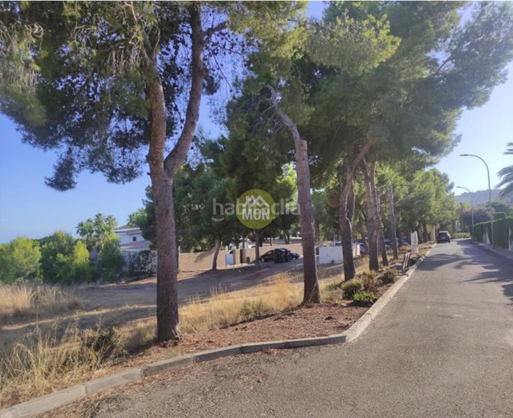 Foto cd6855b4-52a3-4aea-a531-a6ad25583abb. Terreno residencial solar ideal para uso hotelero en peñíscola en Benicarló