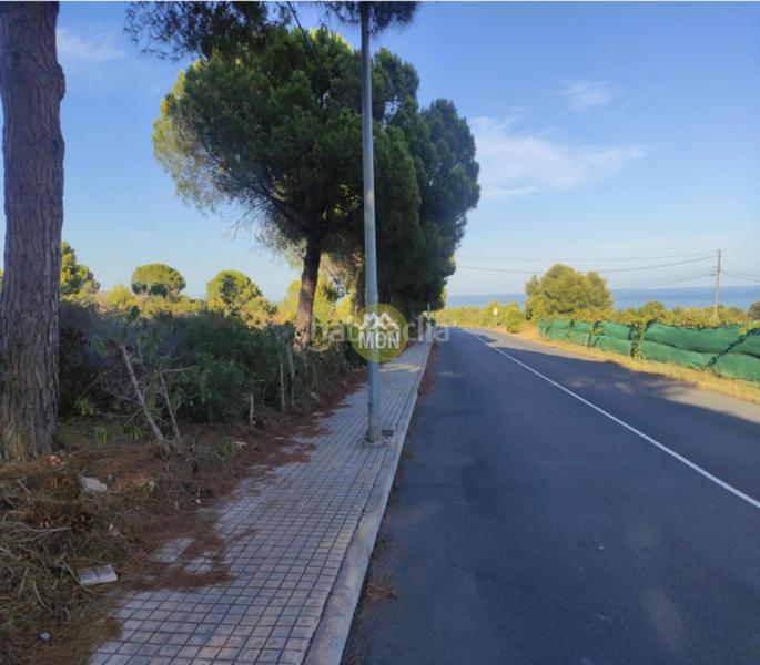 Foto fe1c6728-5c45-4910-807a-2e077519aaf9. Terreno residencial solar ideal para uso hotelero en peñíscola en Benicarló