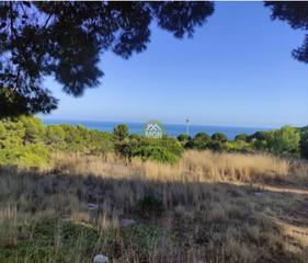 Terreny residencial a Costa Sur. Solar ideal para uso hotelero en peñíscola