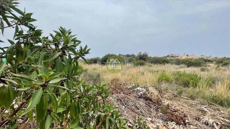 Foto 251dcdc8-ef05-4b40-9ef9-cf1f06c69a38. Wohngrundstück in Costa Sur Peñíscola