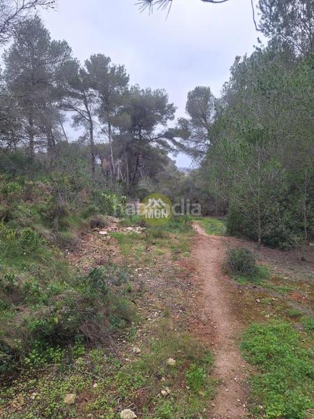 Foto 0fbd3cbc-94e5-48f6-a308-b4980ab44c57. Terreny residencial a Montañar-El Arenal Xàbia