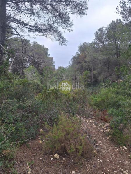 Foto 11970d90-5926-41dd-b3da-05a50d8f6921. Terreny residencial a Montañar-El Arenal Xàbia