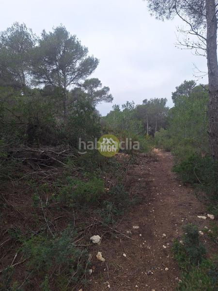 Foto 13113e76-23c8-4aad-9ca5-9845716c333d. Terreny residencial a Montañar-El Arenal Xàbia