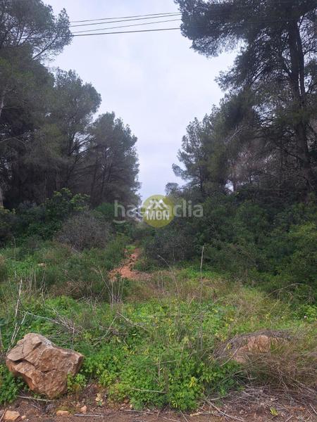 Foto a2c87b97-36ea-4553-93f0-56a30ce1da84. Terreny residencial a Montañar-El Arenal Xàbia