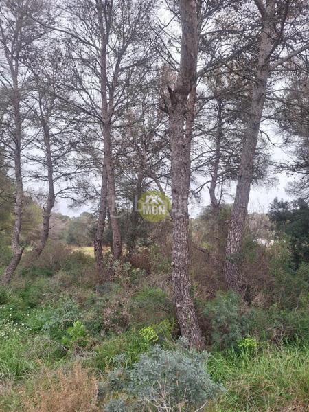 Foto c199edda-b387-406c-b95b-55bc025fc8f8. Terreny residencial a Montañar-El Arenal Xàbia